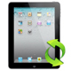 iPad Max Platinum