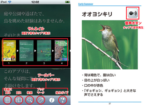 鳥ナビ～1年で120種類の野鳥と出会えるガイド・初夏編