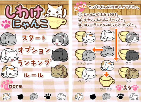 しわけにゃんこ
