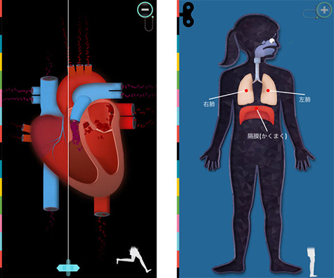 The Human Body ~ あそんでまなぼう