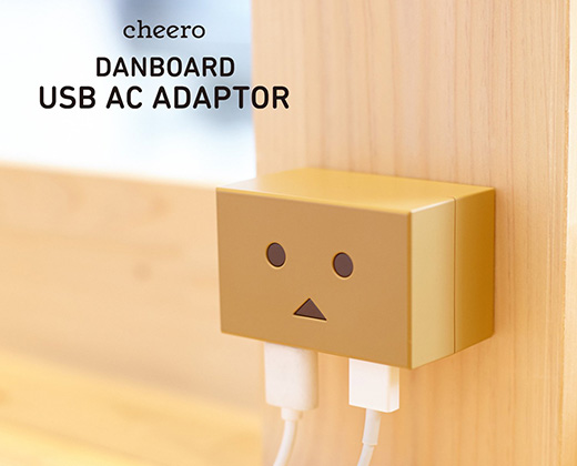 DANBOARD USB AC ADAPTOR