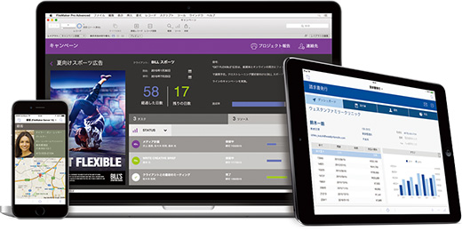 FileMaker Pro 14