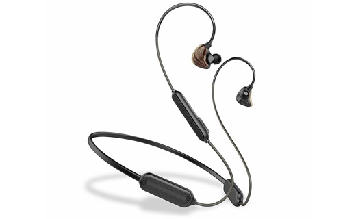 TW2 WIRELESS EARPHONES