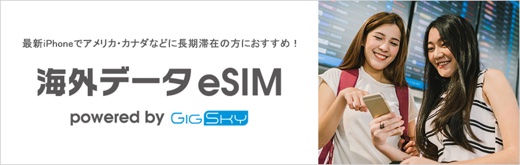 海外データeSIM powered by GigSky