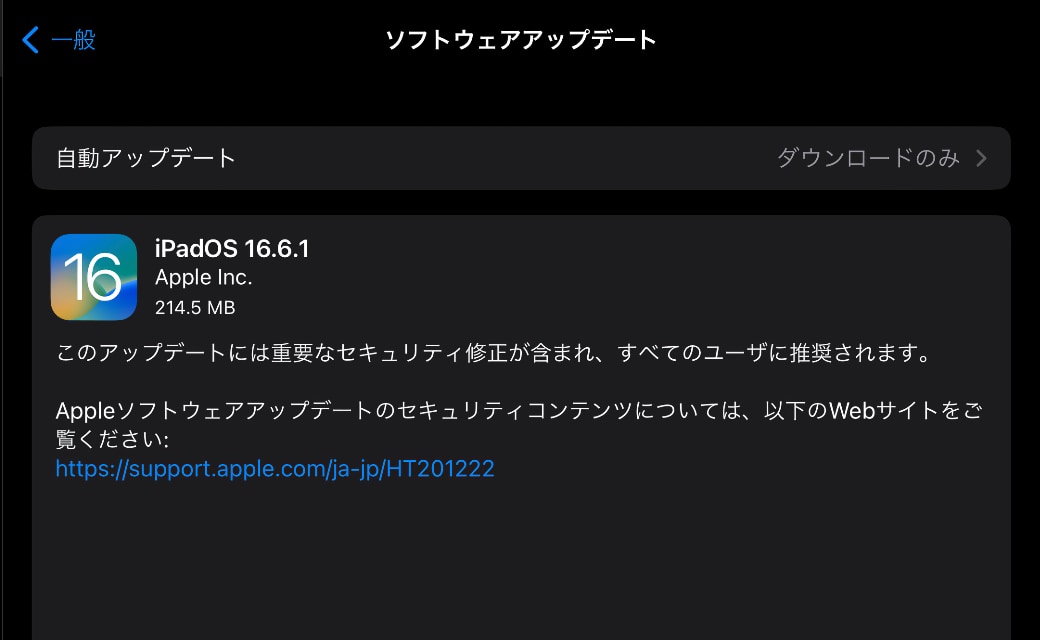 iPadOS 16.6.1