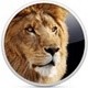 Os X Lion Icon